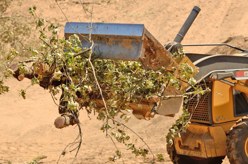 Enhanced crop productivity