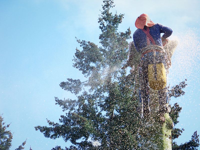 Commercial Tree Removal in Doylestown, PA