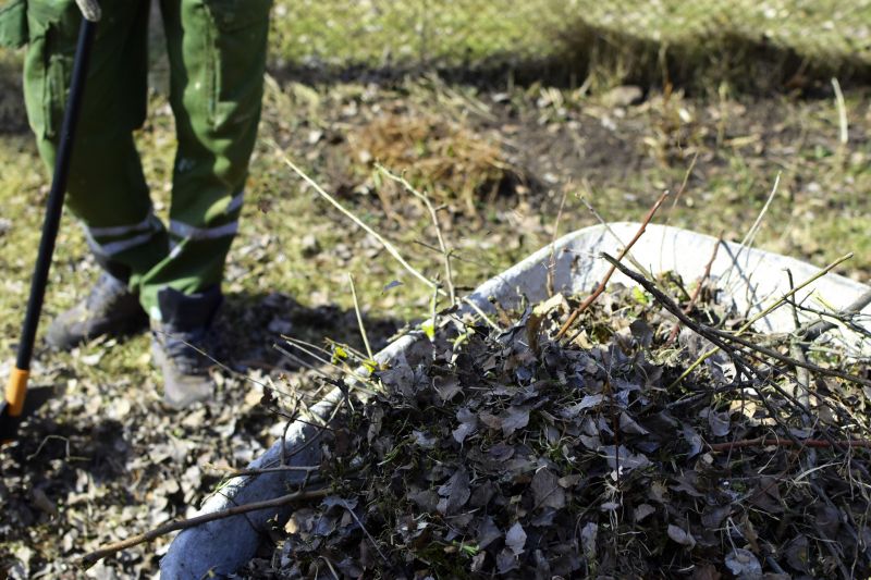 Undergrowth Removal in Utah County, UT
