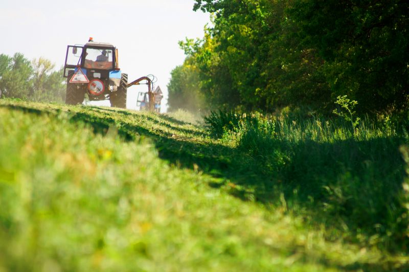 Land Clearing Service